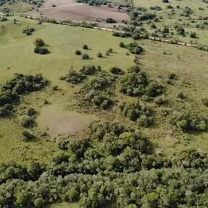 Venta, Campo En Rocha