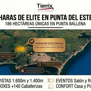 Haras De élite En Punta Del Este Con 186 Ha De Infraestructura Profesional / Elite Equestrian Center And Stud Farm In Punta Del Este – 186-hectare Professional Infrastructure