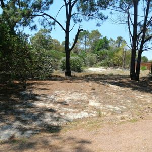 Venta Terreno En Jaureguiberry Sur