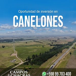Chacra En Venta De 4.6 Has., En Ruta 8 Km 69.500 En El Departamento De Canelones.
