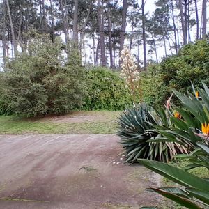 Terreno Proximo Mar Y Bus