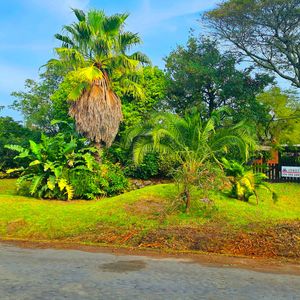 Casa Funcional En Zona Residencial. Moderna En Su Concepción De Espacios Integrados, En Muy Buen Estado, Con 2 Dorm., 2 Baños, Cochera, Barbacoa, 1707 M2 De Terreno A Solo 3 Cuadras De La Playa De El Pinar..