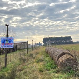 **reservado***vendo Chacra 3 Has Ruta 33 Km 25, "carrasco Del Sauce" Canelones