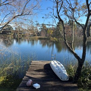 Increible Fondo Al Lago. Parque Miramar.