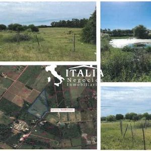Terreno 33500 M2 Cam. Tomkinson