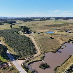 Chacra De 12 Hectareas Y 6 Dormitorios  En José Ignacio. Oportunidad Unica!!!