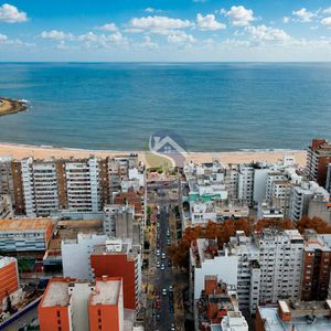 Oportunidad Inversionistas O Vivienda. Sólida Casa En Ph Para Actualizar,  Planta Baja, Con 3 Dormitorios, 2 Baños, Patio. No Tiene Gastos Comunes Y Se Encuentra En Excelente Punto De Pocitos.