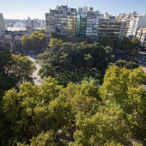 Apartamento En Venta En Centro, Piso Alto.