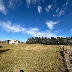 Hermosa Chacra En Venta 3has C/2 Casas Muy Prolijas, 2 Galpones, Barbacoa, Tajamar, Monte. Muy Próxima Ruta 8 Y Ciudad.