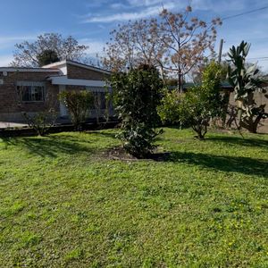 Casa En Alquiler 2 Dormitorios San Jose De Carrasco Sur