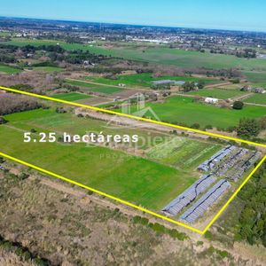 Se Vende Campo En Montevideo 5,25 Ha Con Doble Frente Sobre Los Fresnos Y Camino De Las Tropas