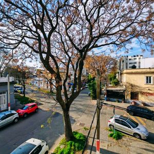 Casa De Altos En Venta - 3 Dormitorios - La Blanqueada