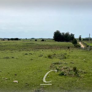 Chacra De 10 Hectáreas, San Carlos, Ruta 39