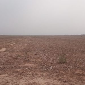 Linda Propiedad Agricola  De 604ha Por Pailon Sur, Entrando 70km