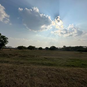 Terrenos En Venta Muy Cerca De La Próxima Nueva Terminal 