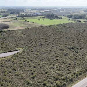 Fracciones De 3 Hás Ideal Logística, A 500 Mt De La Ruta 5, Progreso