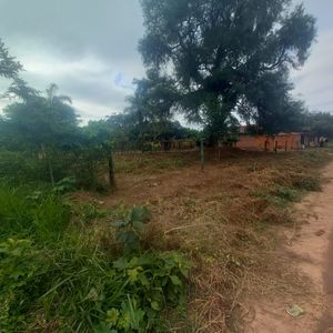 Terreno Amplio En El Municipio De Cotoca