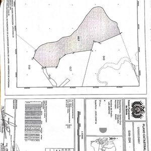 Propiedad Ganadera En Venta En Laguna Concepción De 1535 Hectáreas