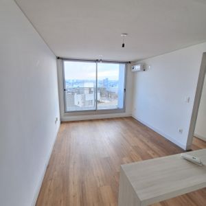 Excelente Apartamento En Alquiler, 1 Dormitorio. Malvin.