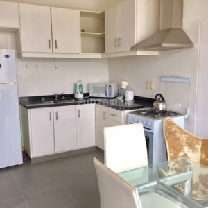 Apartamento En Manantiales, 1 Dormitorios *