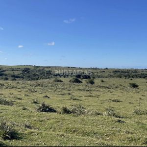 Muy Linda Chacra En Rocha