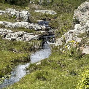 Venta De Chacra Zona Aigua
