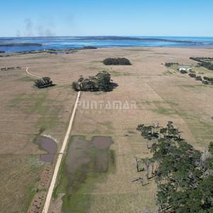 Venta De Chacra En Jose Ignacio 5 Has