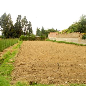 En Venta, Lote Amplio