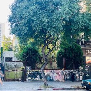 Venta Casa Pocitos 5 Dormitorios 3 Baños Garaje