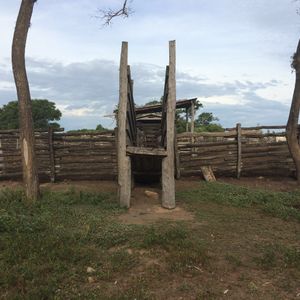 Propiedad Agropecuaria