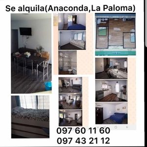 Calle 6 Y 16 Sn, La Paloma
