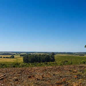 Salus Valle De Fortaleza | Activo Forestal Con Múltiples Oportunidades Desarroll