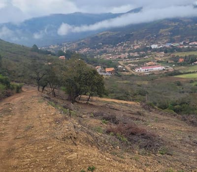 Lotes En Venta – Zona Cabañera  *oportunidad única En Samaipata*