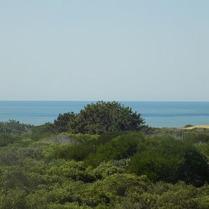 Casa En El Triangulo - San Antonio