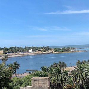 Venta Apartamento Con Renta Parque Rodó Vista Monoambiente 1 Baño