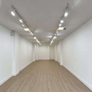 Alquiler Local Comercial De 200 M2 En Union