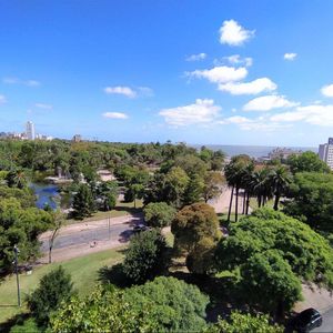 Alquiler Apartamento Parque Rodó 1 Dormitorio 1 Baño Muebles