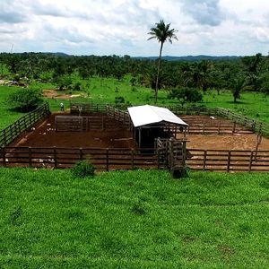 En Venta  Propiedad Ganadera En San Javier Y Concepción