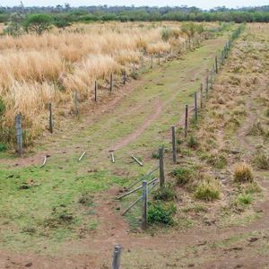 En Venta Propiedad Agrícola-ganadera En Okinawa 3