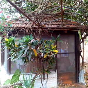 Quinta Chancheria En Venta