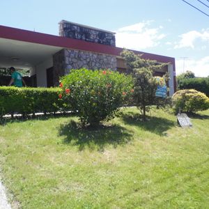Temporada 2024 Sobre Ferreira 603pp