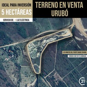 Urubo Se Vende Terreno De 1 A  7 Hectáreas 