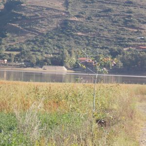 Terreno En Zona La Angostura Carretera A Tarata