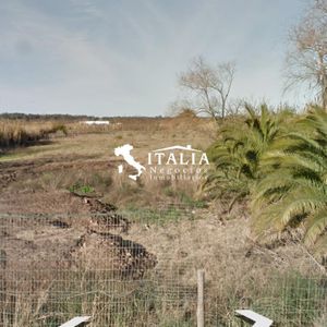 Ideal Complejo Deportivo Carrasco 4 Hectareas