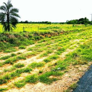 Inmueble # 332 Terreno Sobre Carretera A Okinawa