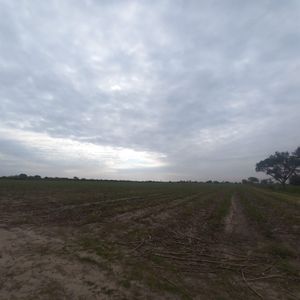 Terreno En Venta Para Agricultura O Ganadería. Montero