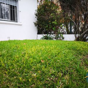 Venta De 3 Viviendas En P.u. - 2 Casas Y Un Monoambiente En Malvin Al Norte 273m