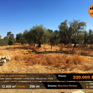 En Venta Amplia Propiedad 12.300 M2 En Tarata Proximo Carretera