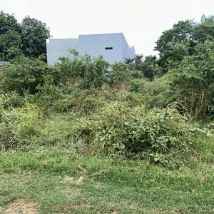 Promoción Imperdible Dos Terrenos En Venta Av. Beni