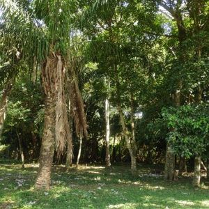 Terreno En Venta  Ubicado En El Pueblo De Buena Vista